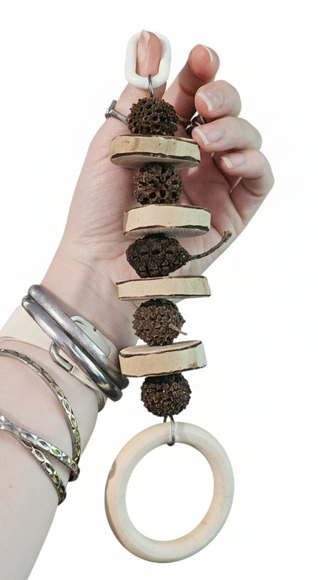 Pancakes 🥞 & Nuts Forest Shreddable Timber Toy