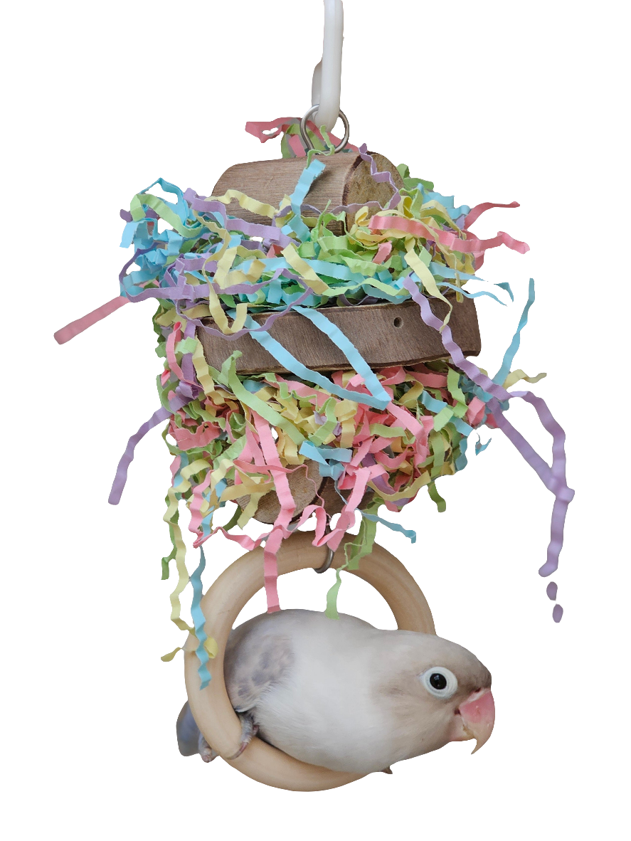 Pastel Shredder Ring Forest Shreddable Toy