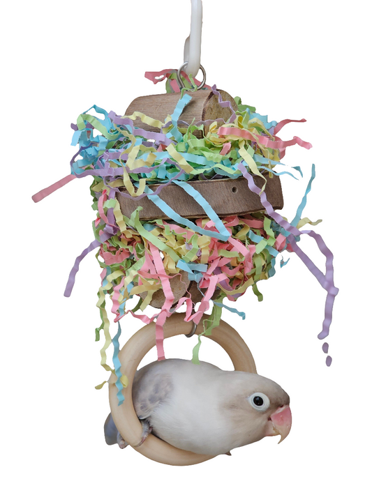 Pastel Shredder Ring Forest Shreddable Toy