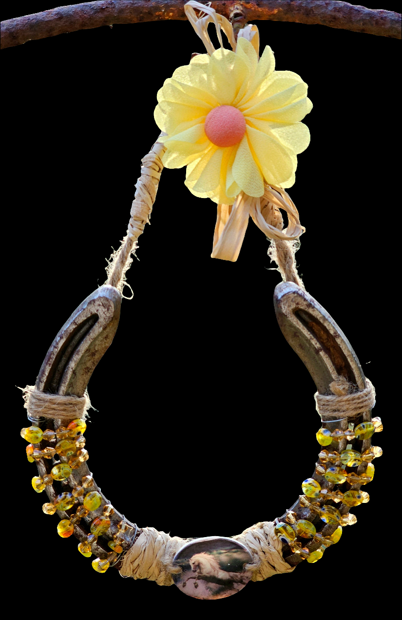 Sunshine & Luck Horseshoe Wall Art