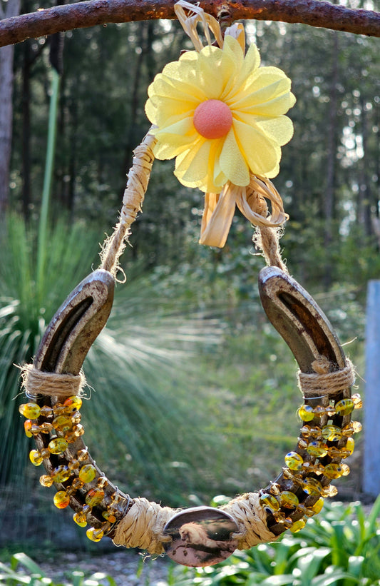 Sunshine & Luck Horseshoe Wall Art