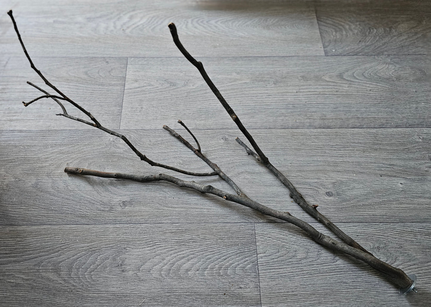 Twiggy Multi Fork Bolt On Perch