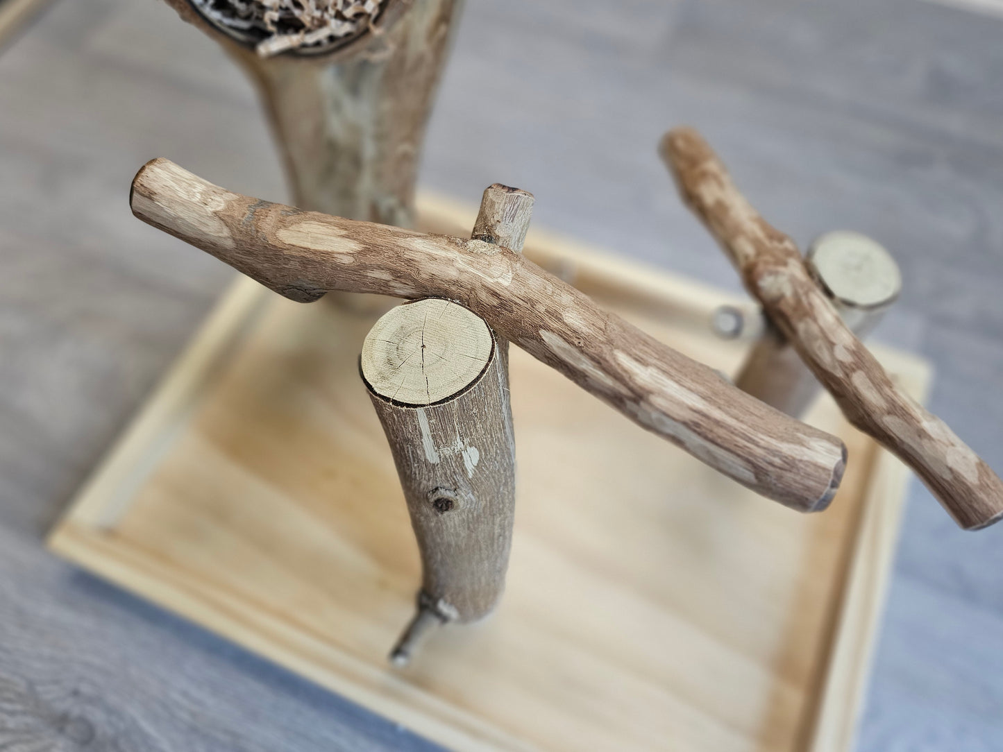 Forest Hide & Seek Play Stand