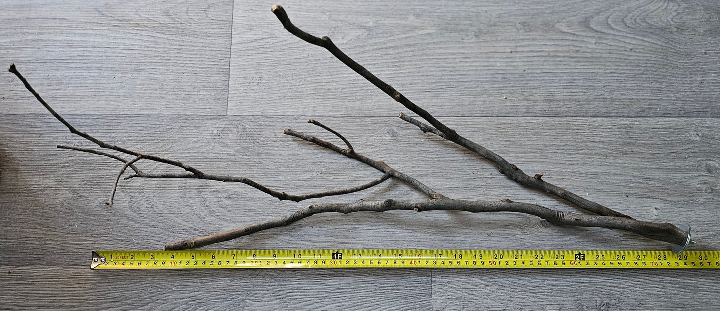 Twiggy Multi Fork Bolt On Perch