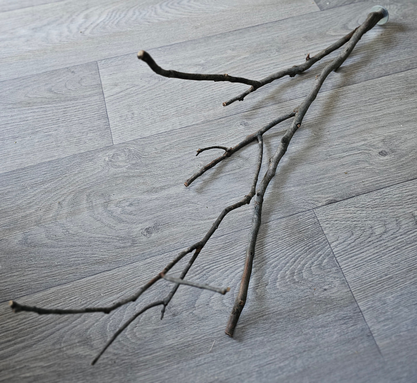 Twiggy Multi Fork Bolt On Perch