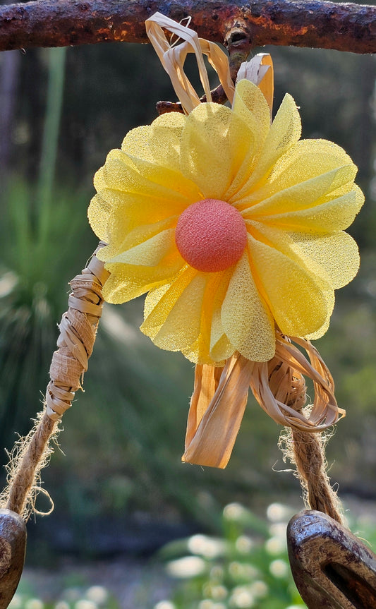 Sunshine & Luck Horseshoe Wall Art