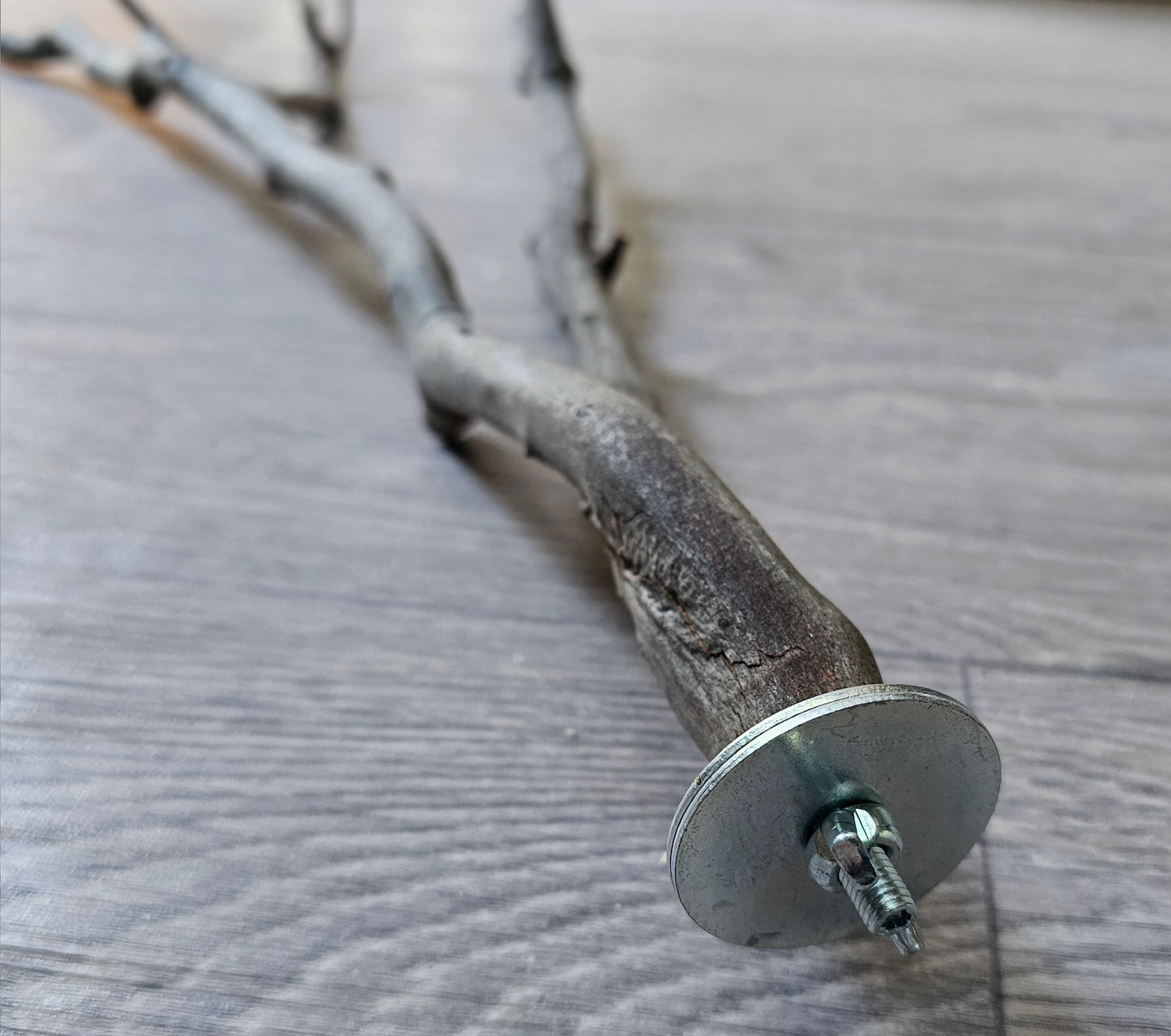 Twiggy Multi Fork Bolt On Perch