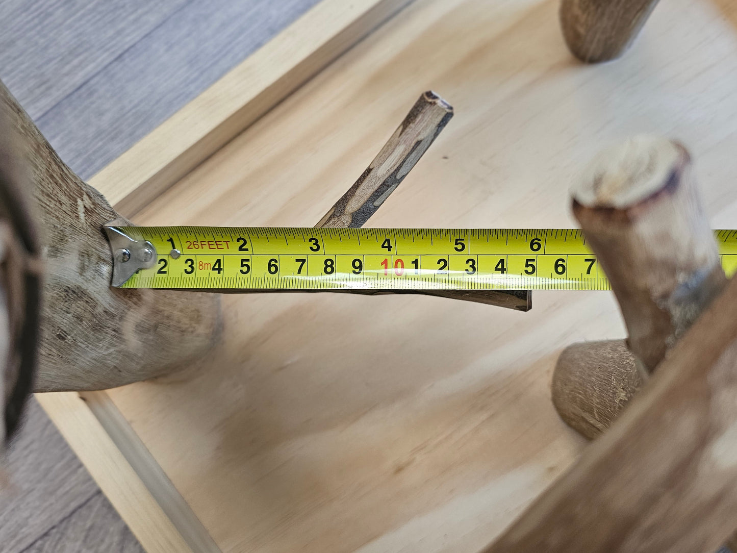 Forest Hide & Seek Play Stand