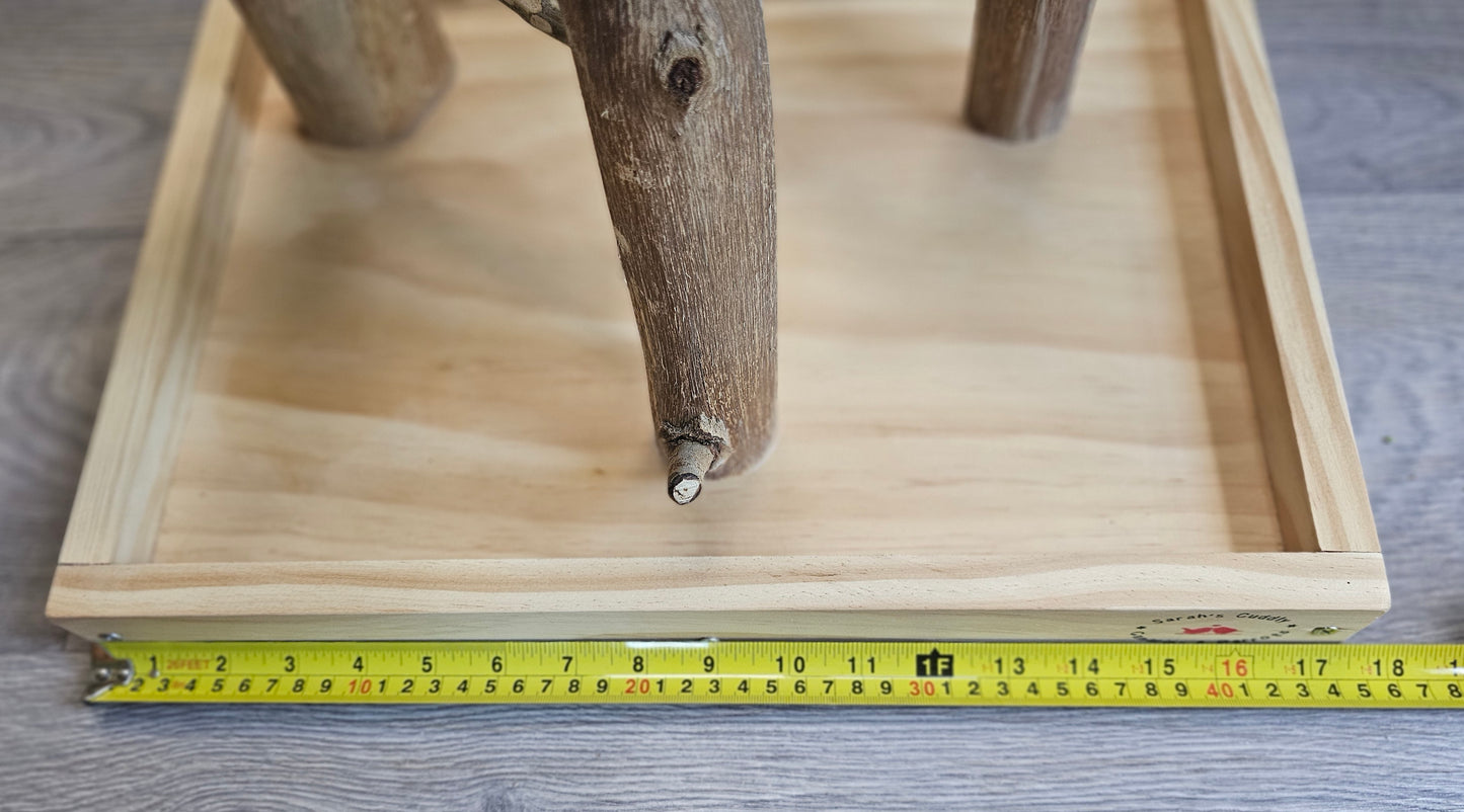 Forest Hide & Seek Play Stand