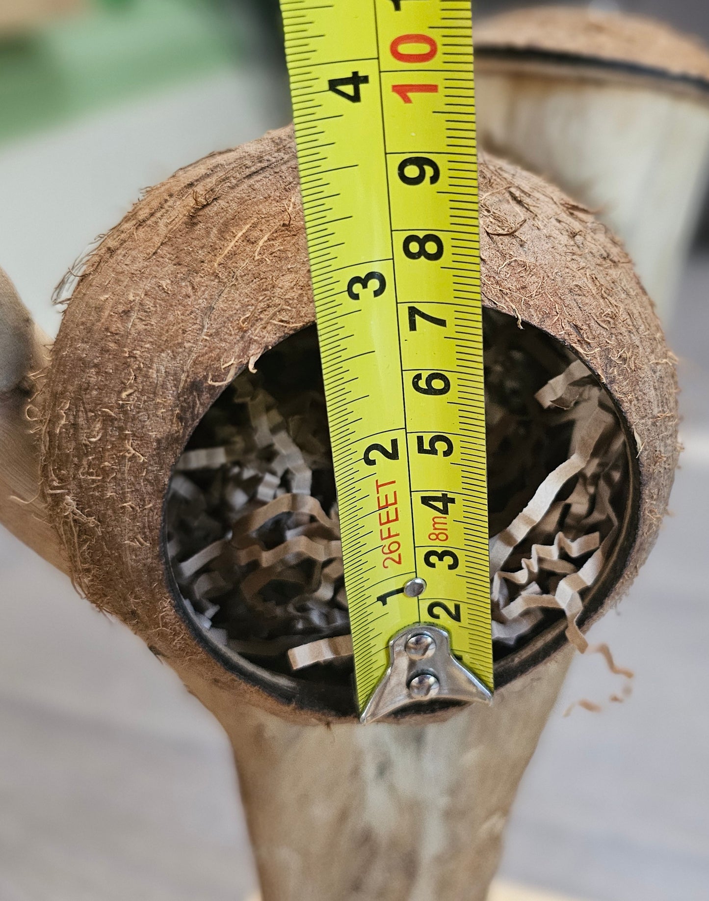 Forest Hide & Seek Play Stand