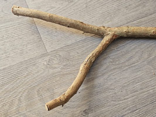 Bloodwood Fork 45cm x 3/3.5/4cm Bolt On Perch