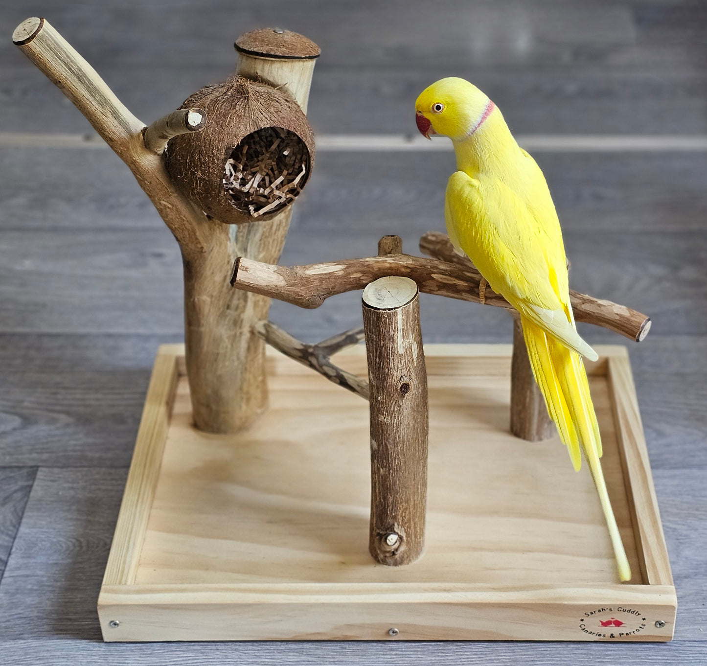 Forest Hide & Seek Play Stand