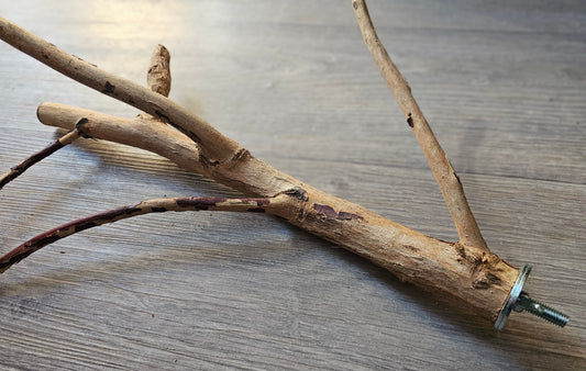 Gum Fork 40cm x 2/2.5/3cm Bolt On Perch