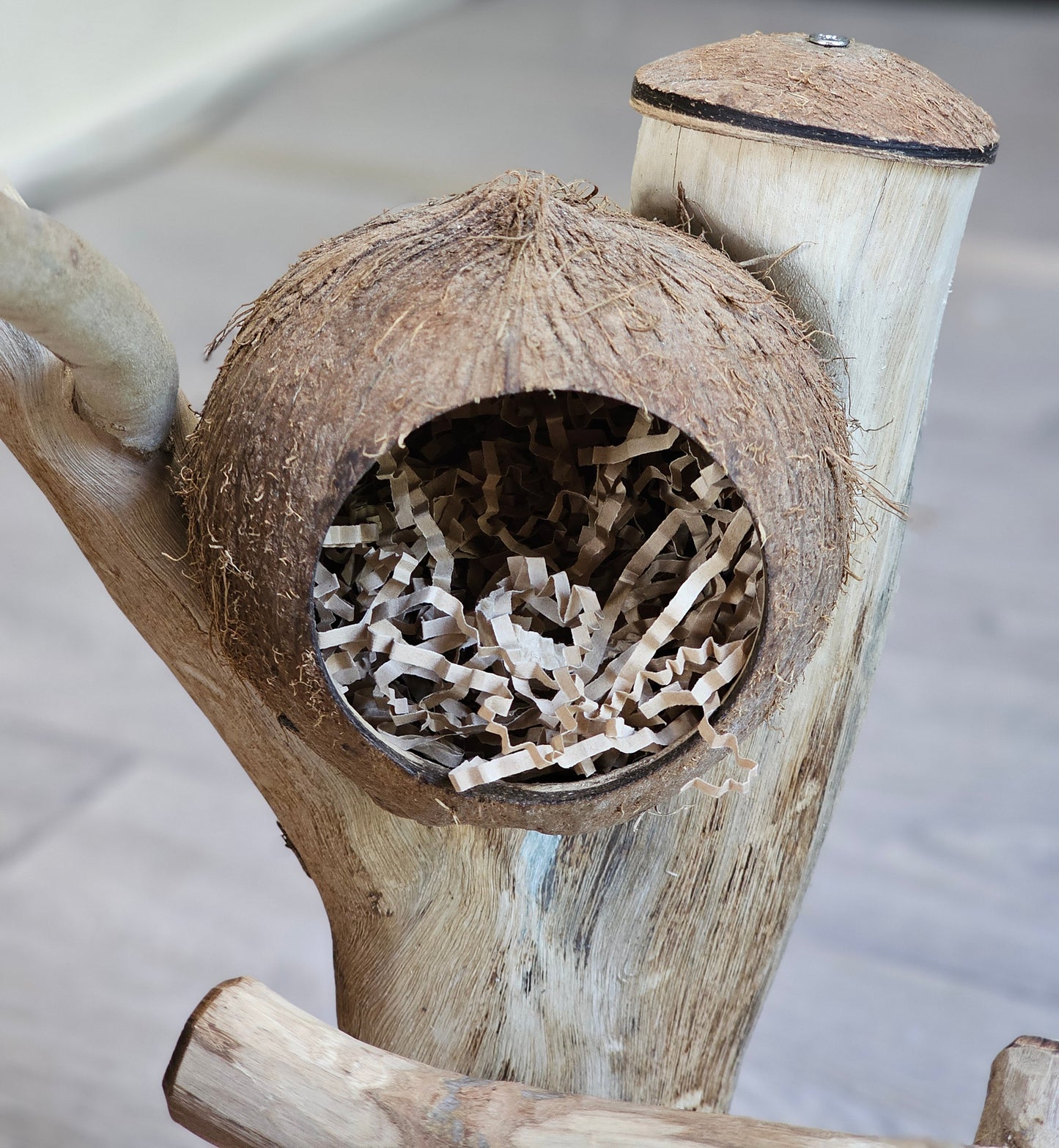 Forest Hide & Seek Play Stand