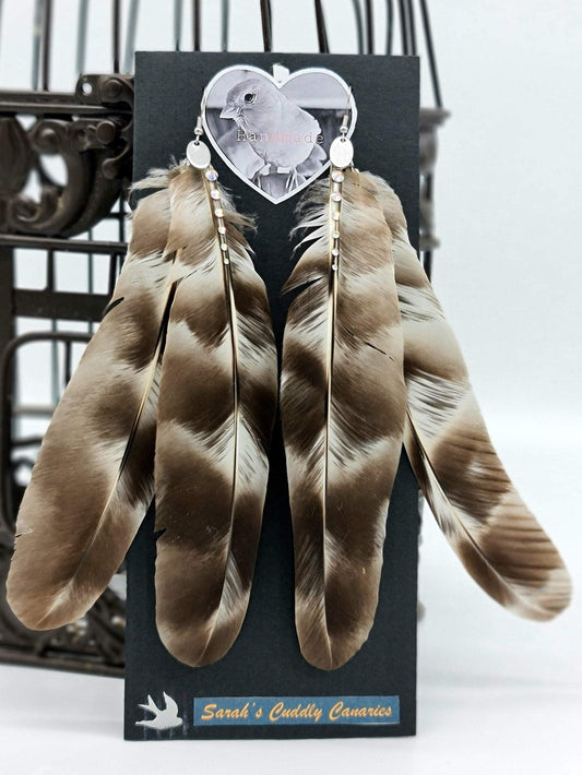 Cluckers Coop Girls Feather Earrings