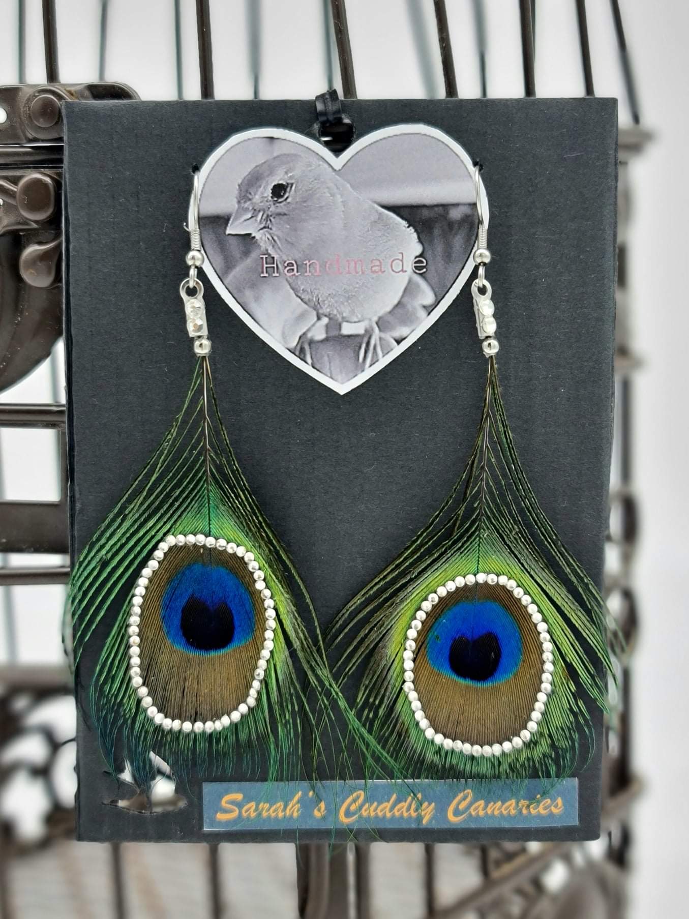 Mr Bentley & Son Crystally Eye Feather Earrings