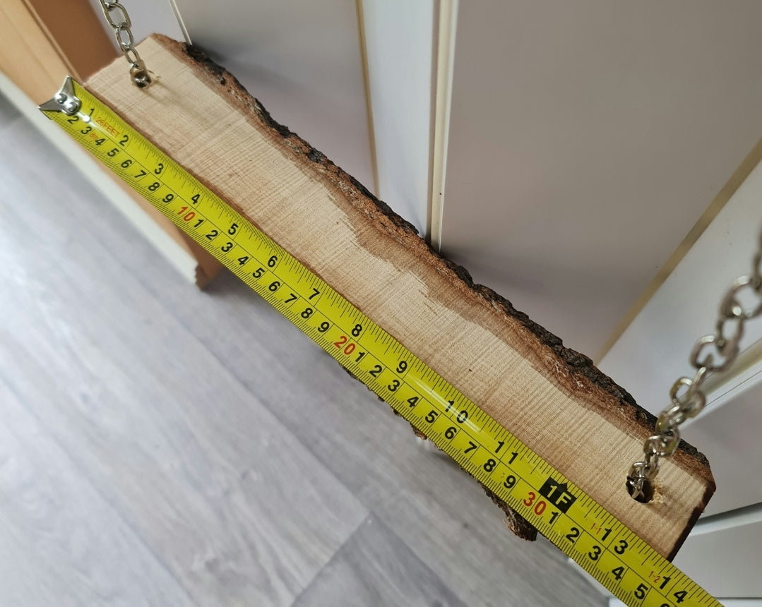 Large Chain Casuarina Chicken Swing