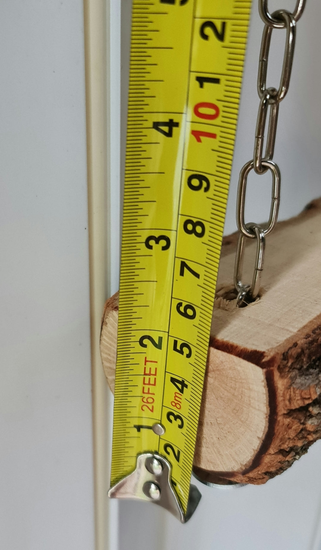 Large Chain Casuarina Chicken Swing