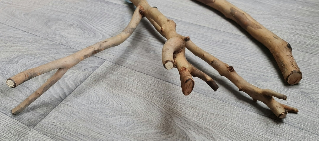 Spotted Gum Fork & Single Perch 45cm x 2/2.5/3cm Bolt On Perches