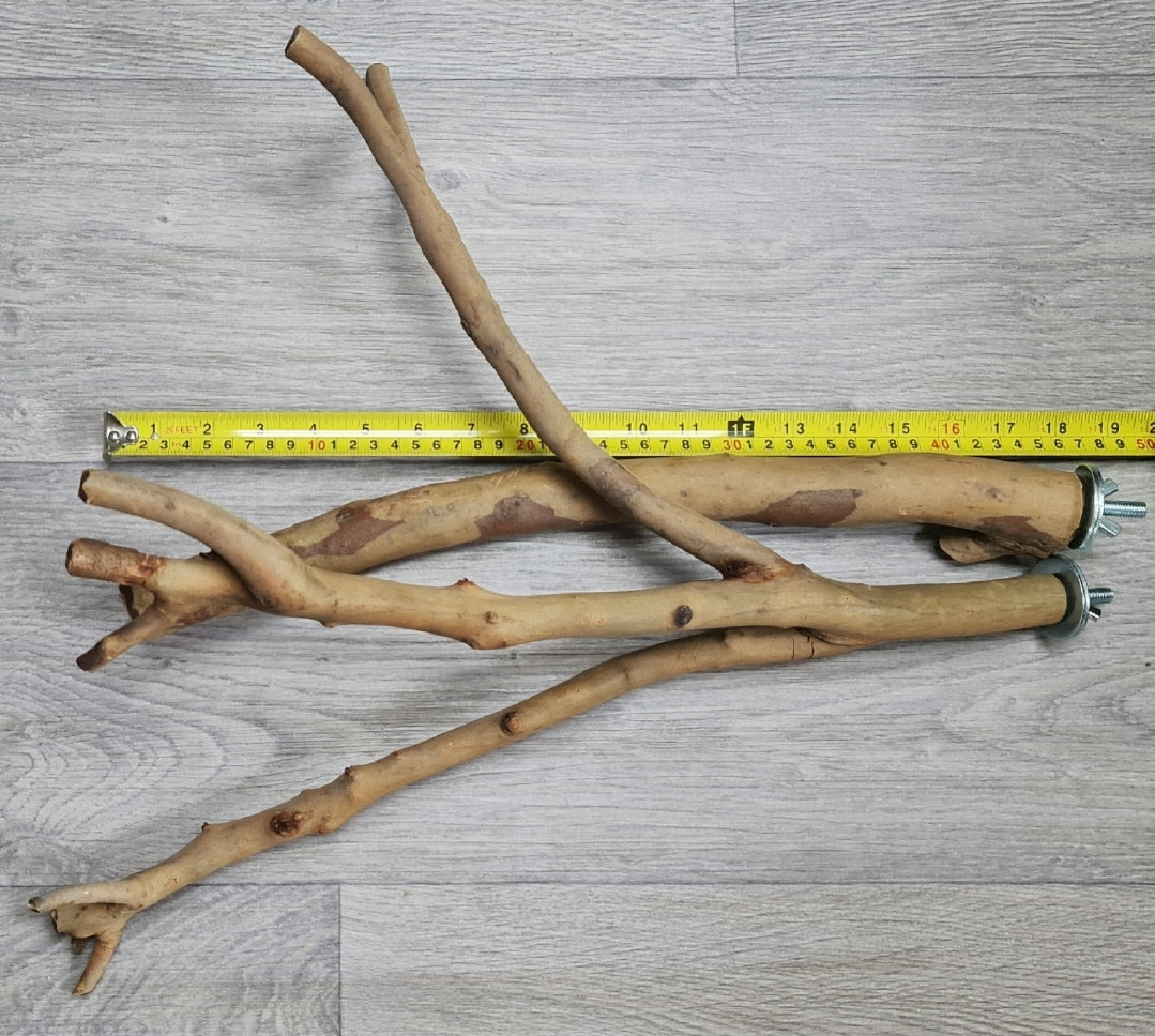 Spotted Gum Fork & Single Perch 45cm x 2/2.5/3cm Bolt On Perches