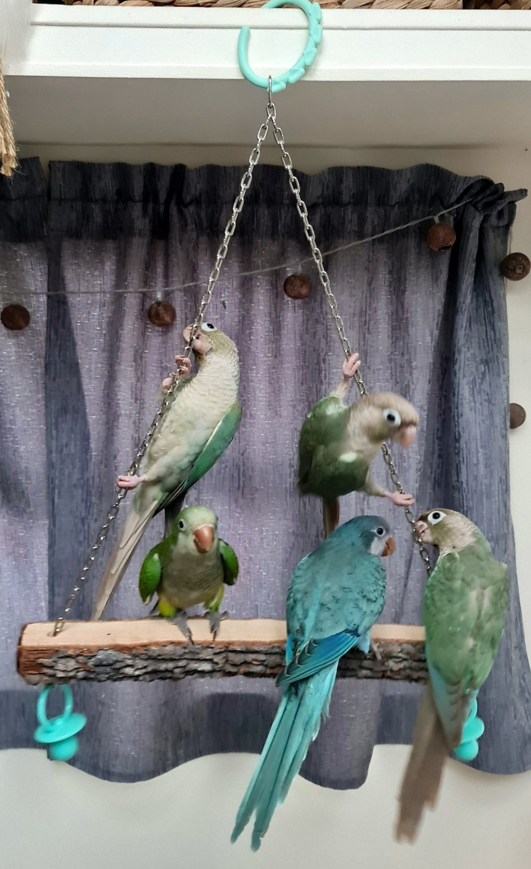 The 'Friendship' Swing