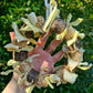 Corn Cob & Husk Ironbark Wreath Forest Shreddable Ring