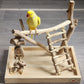 Play & Climb Play Stand