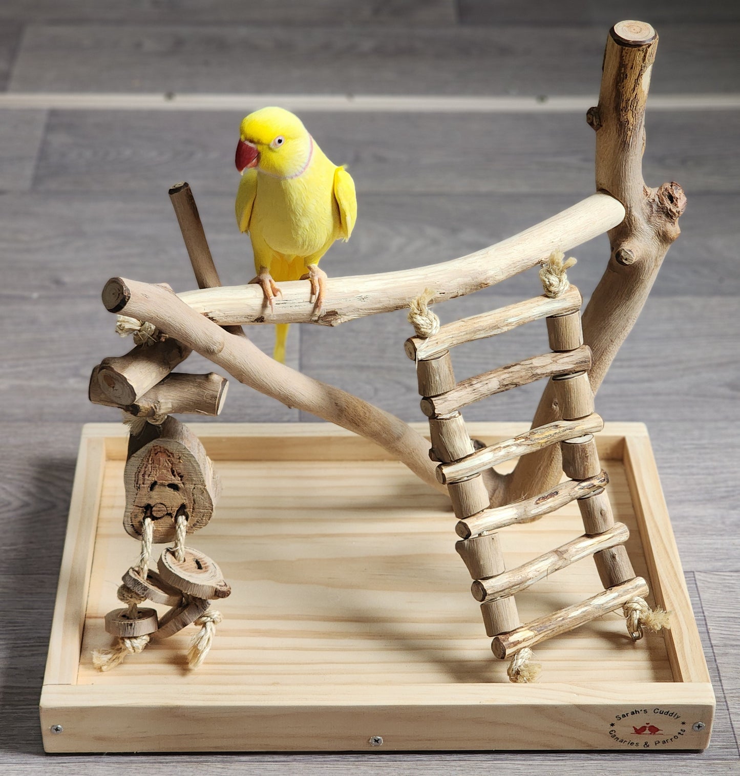 Play & Climb Play Stand