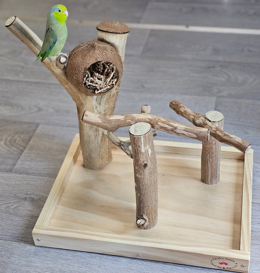 Forest Hide & Seek Play Stand