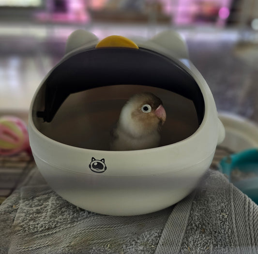 Peek-A-Door Birdie Pod