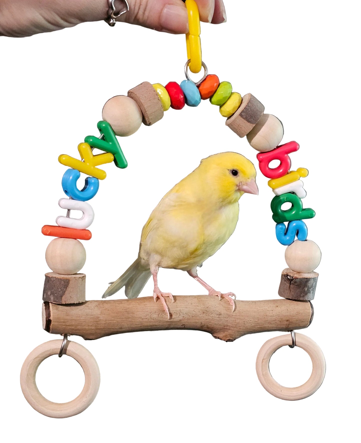 Rainbow Jelly Word Swings