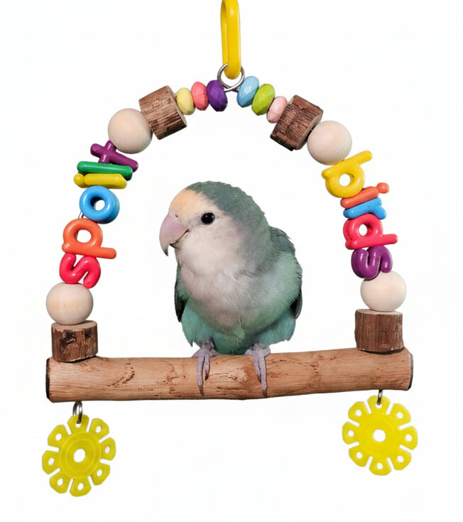 Rainbow Jelly Word Swings