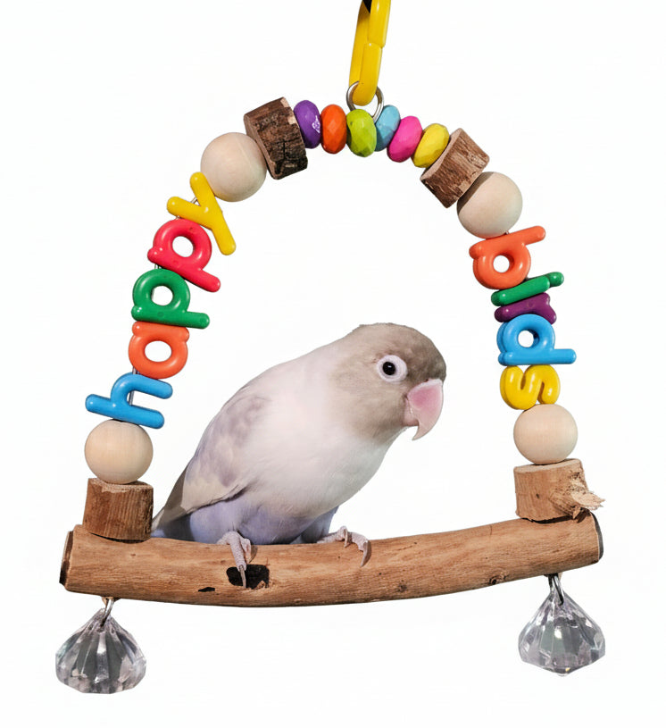 Rainbow Jelly Word Swings