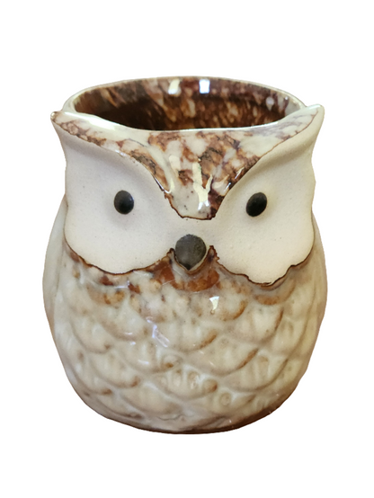 Ceramic Mini Owl Pot