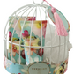 Bird Cage Gift Set