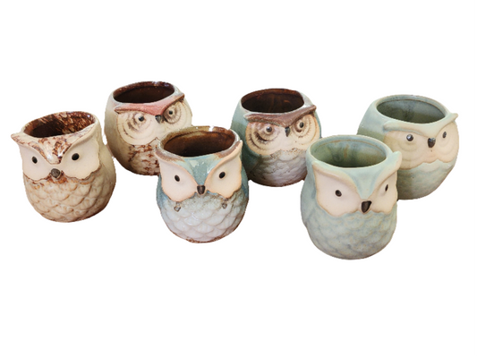 Ceramic Mini Owl Pot