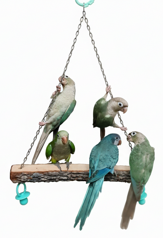 The 'Friendship' Swing