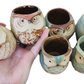 Ceramic Mini Owl Pot