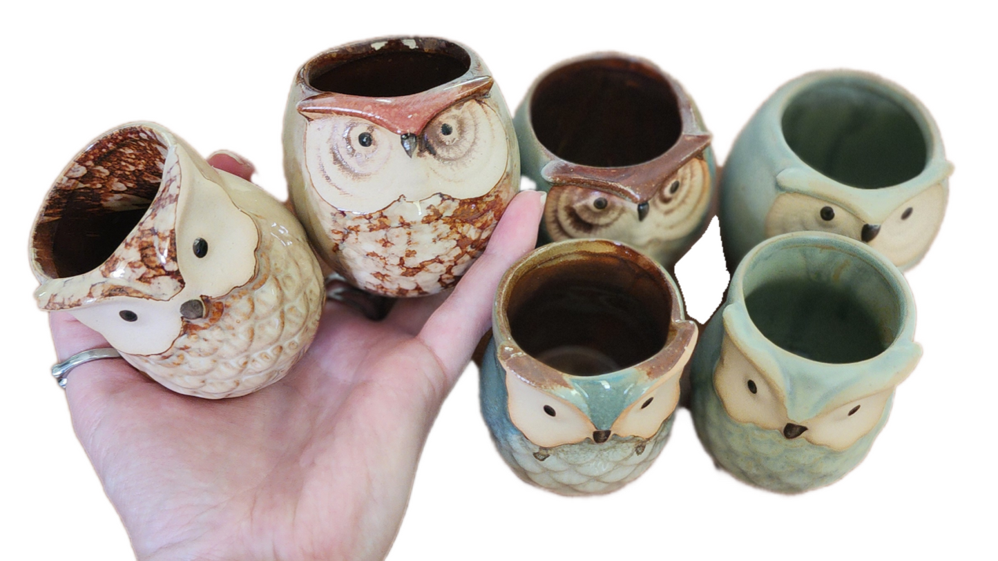 Ceramic Mini Owl Pot