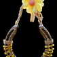 Sunshine & Luck Horseshoe Wall Art