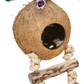 Cozy Coconut Hut & Ladder