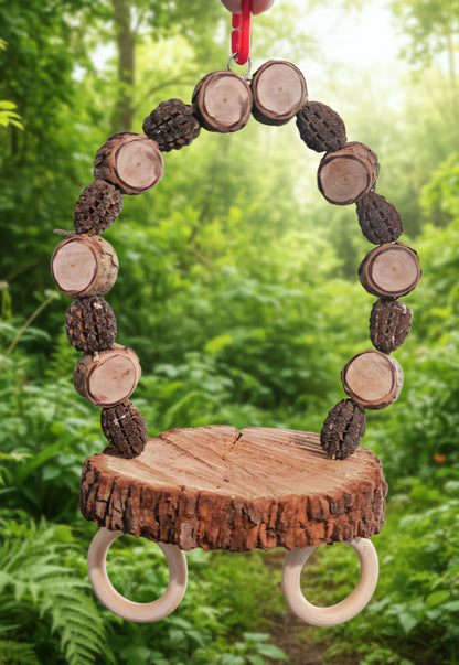 Casuarina Platform Swing