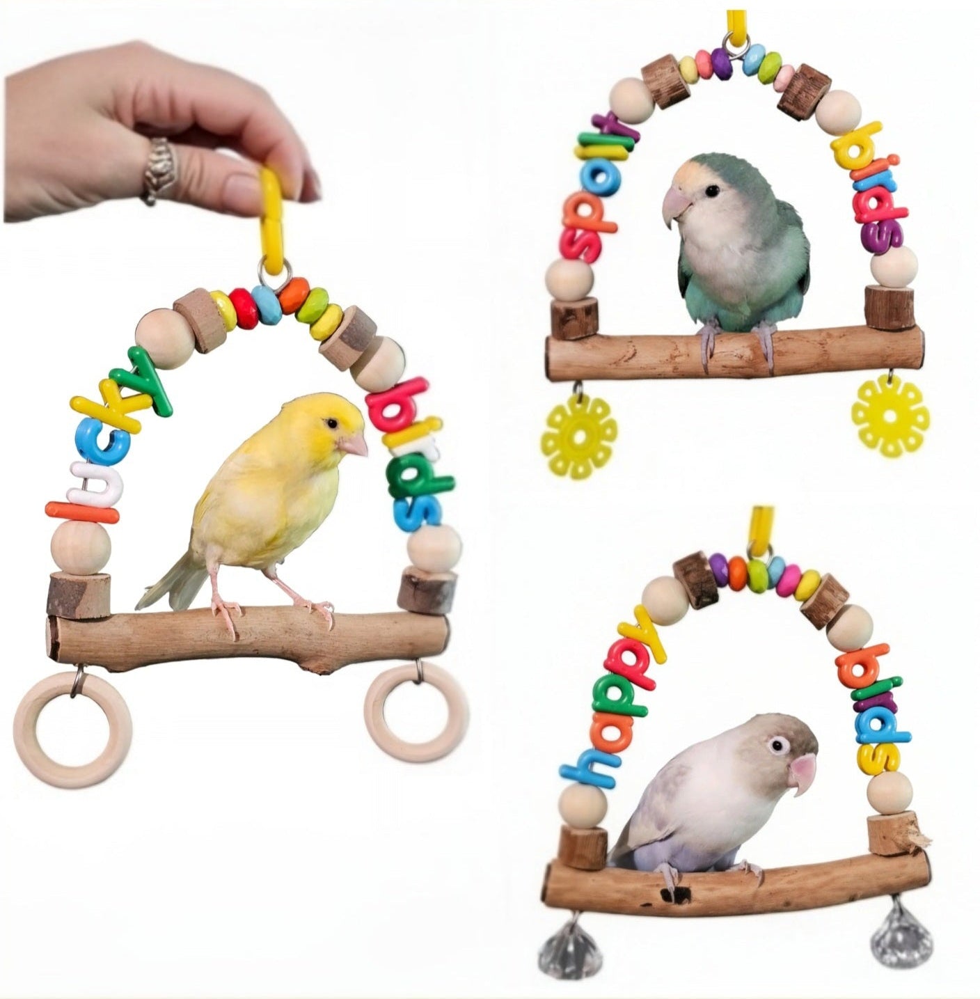 Rainbow Jelly Word Swings