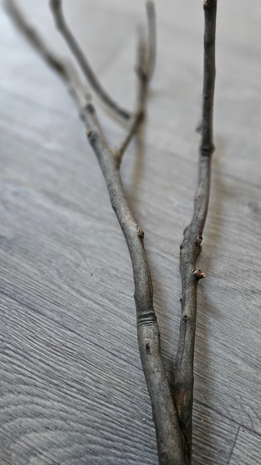 Twiggy Multi Fork Bolt On Perch