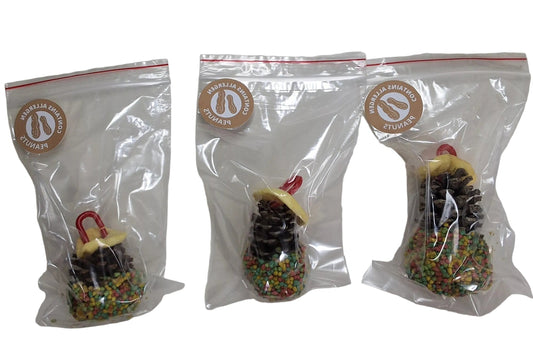 Rainbow 🌈 Cone Treat