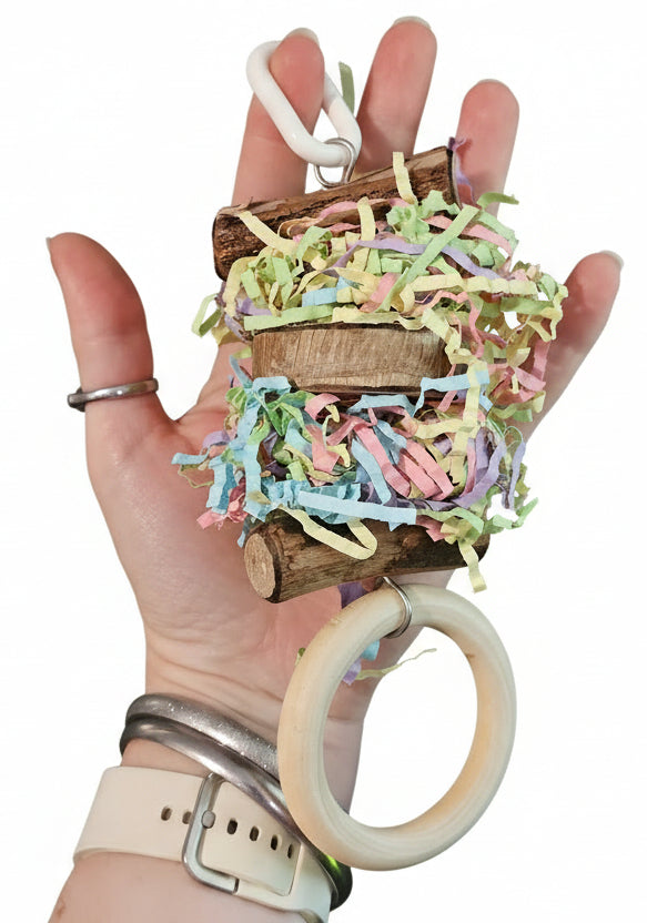 Pastel Shredder Ring Forest Shreddable Toy