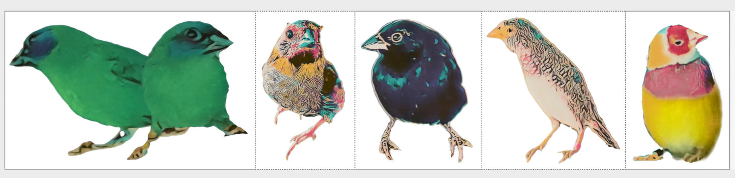 Cute Artsy Birdie Stickers