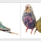 Cute Artsy Birdie Stickers