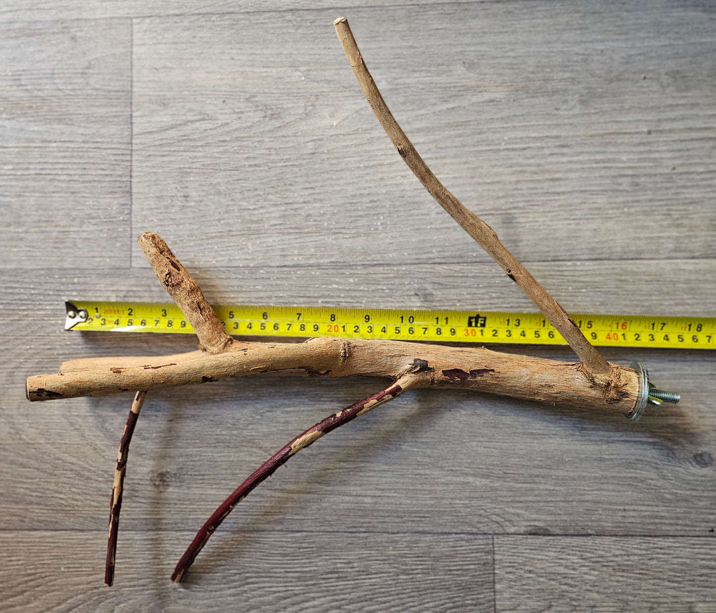 Gum Fork 40cm x 2/2.5/3cm Bolt On Perch