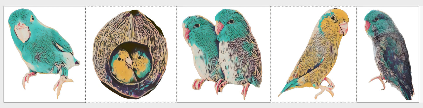 Cute Artsy Birdie Stickers